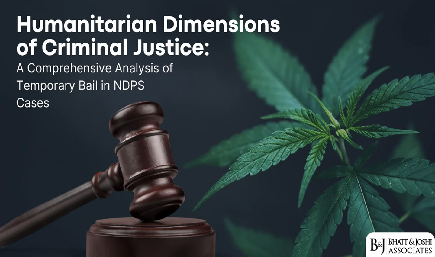 Bail on Humanitarian Grounds in NDPS Case: Rajasthan High Court’s Landmark Ruling
